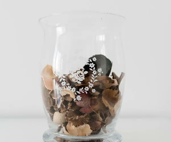 公寓 Light-filled, Fully Renovated Near Belem, By Timecooler *